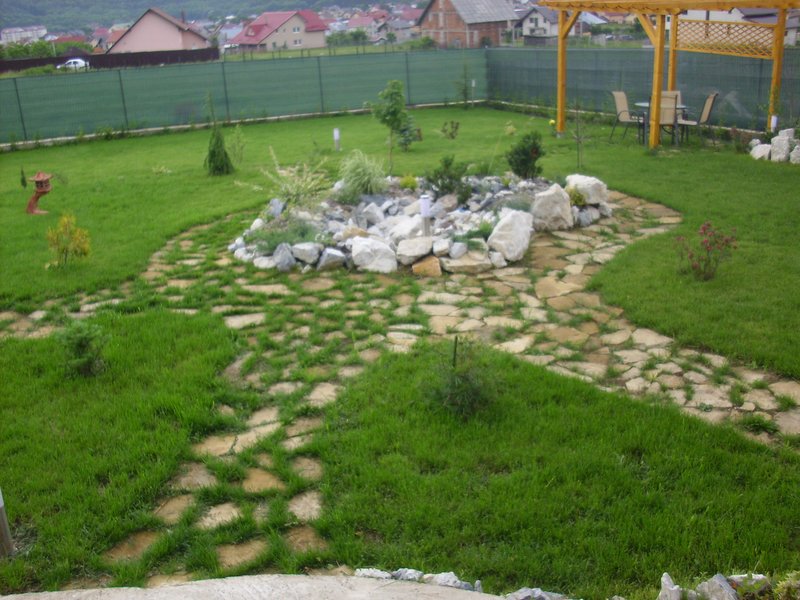 Special Garden, Bucuresti - Amenajare si ingrijire gradini